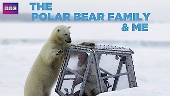 A família do urso polar e eu