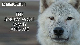 A Família Lobo da Neve e Eu