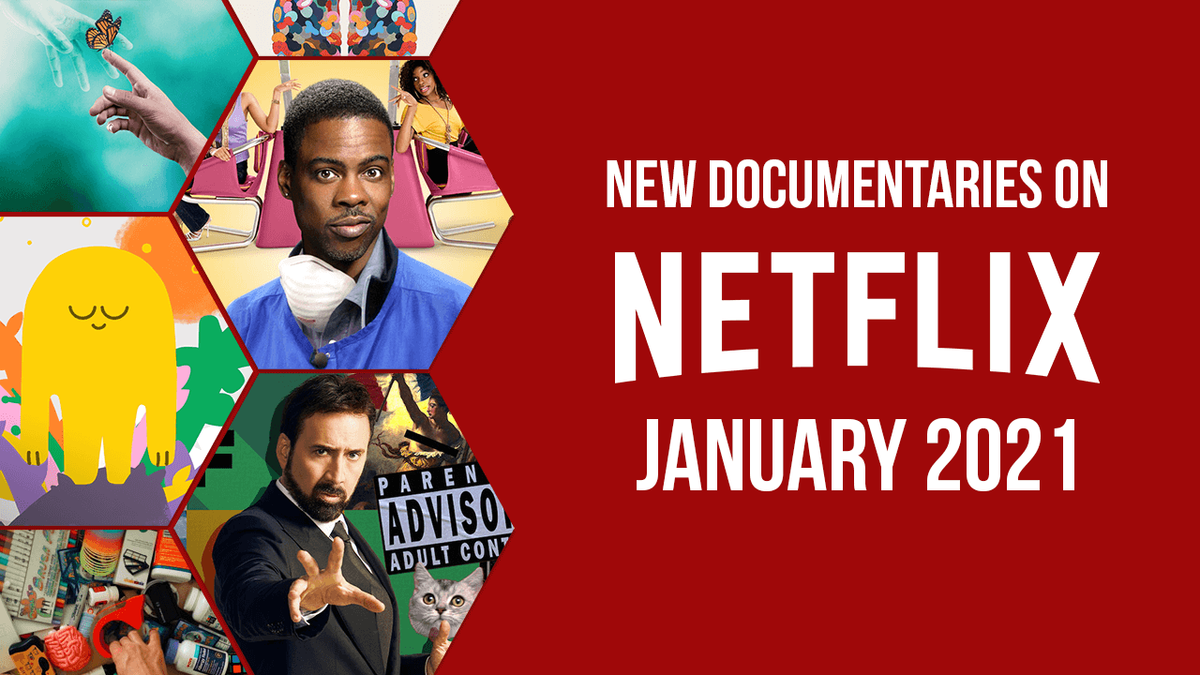 Jan Documnetaries a Netflix-en